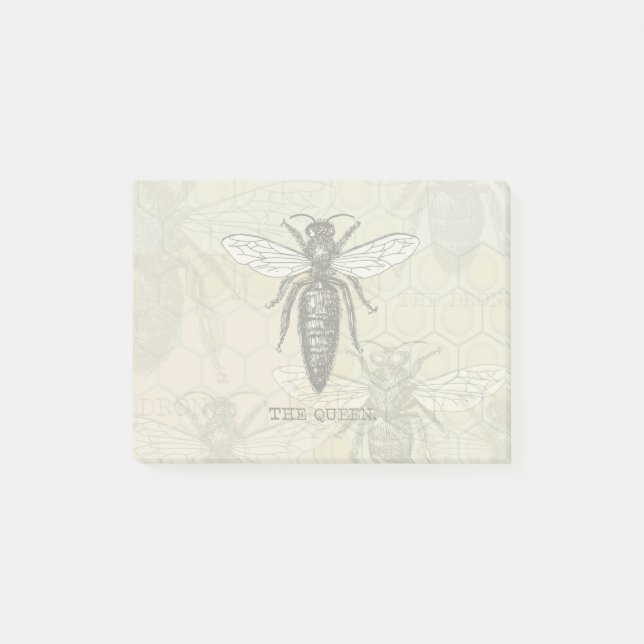 Queen Bee Bug Insect Antique Illustration Post-it Notes (Front)