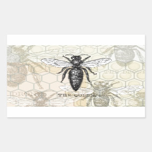Queen Bee Bug Insect Antique Illustration Rectangular Sticker