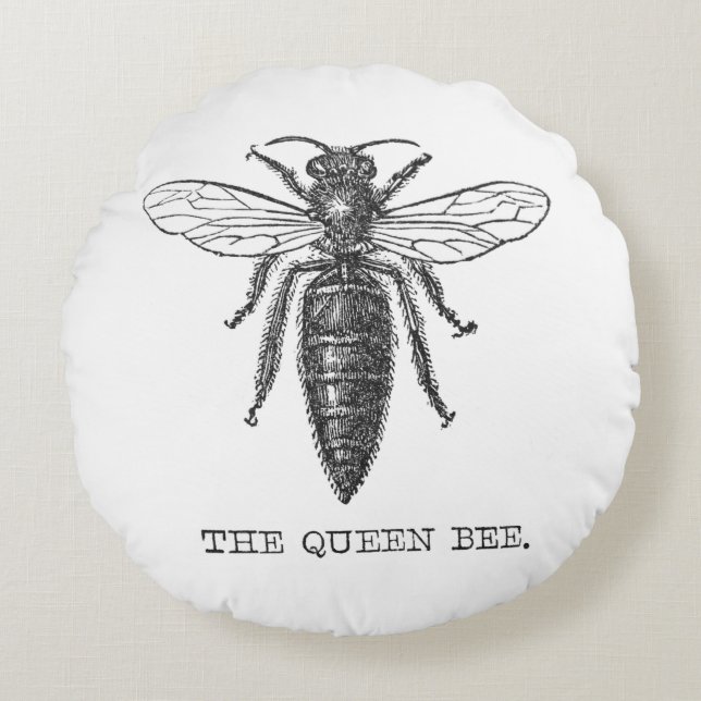Queen Bee Bug Insect Antique Illustration Round Pillow (Front)