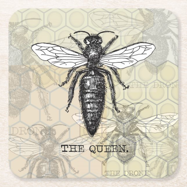 Queen Bee Bug Insect Antique Illustration Square Paper Coaster (Front)