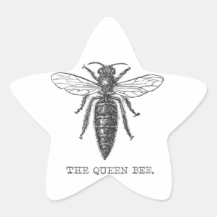 Queen Bee Bug Insect Antique Illustration Star Sticker