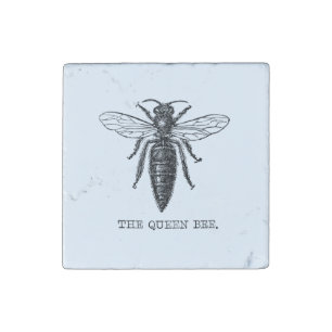 Queen Bee Bug Insect Antique Illustration Stone Magnet