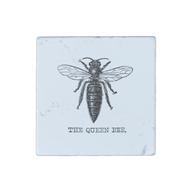 Queen Bee Bug Insect Antique Illustration Stone Magnet (First Magnet)