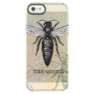 Queen Bee Bug Insect Antique Illustration Clear iPhone SE/5/5s Case