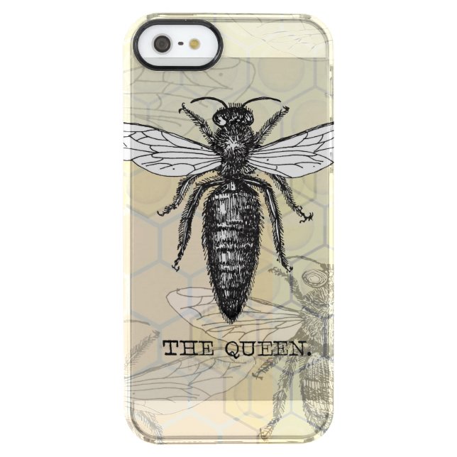 Queen Bee Bug Insect Antique Illustration Uncommon iPhone Case (Back)