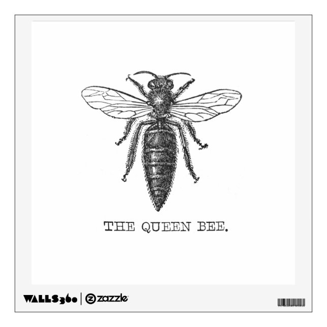 Queen Bee Bug Insect Antique Illustration Wall Sticker (Front)