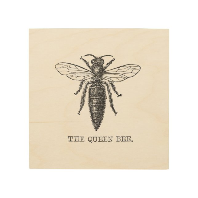 Queen Bee Bug Insect Antique Illustration Wood Wall Decor (Front)