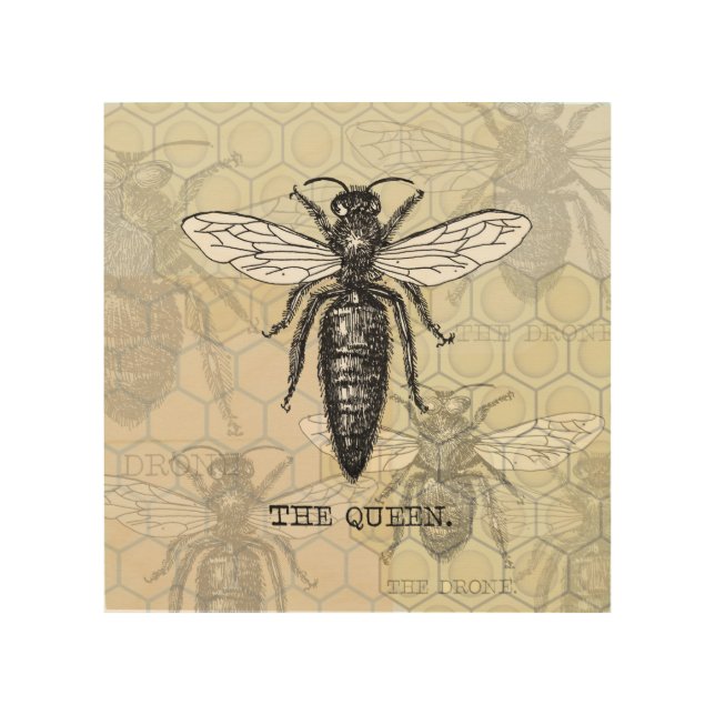 Queen Bee Bug Insect Antique Illustration Wood Wall Decor (Front)