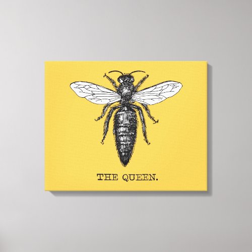 Queen Bee Bug Insect Bees Illustration Canvas Print