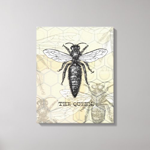 Queen Bee Bug Insect Bees Illustration Canvas Print