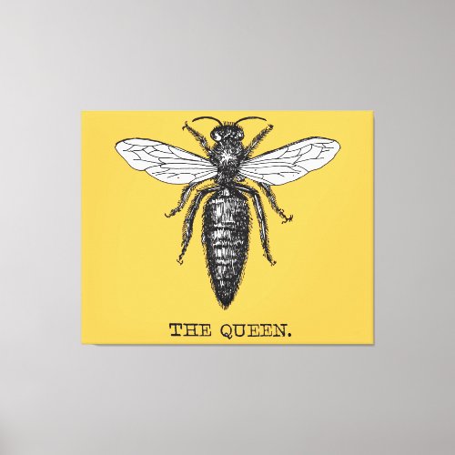 Queen Bee Bug Insect Bees Illustration Canvas Print