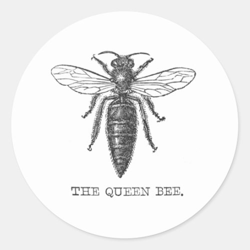 Queen Bee Bug Insect Bees Illustration Classic Round Sticker