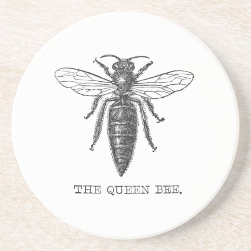 Queen Bee Bug Insect Bees Illustration Drink Coaster