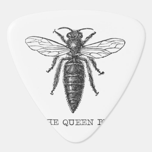 Queen Bee Bug Insect Bees Illustration Guitar Pick