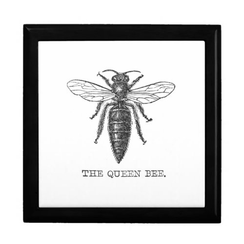 Queen Bee Bug Insect Bees Illustration Jewelry Box