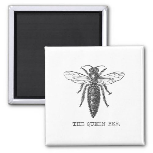Queen Bee Bug Insect Bees Illustration Magnet
