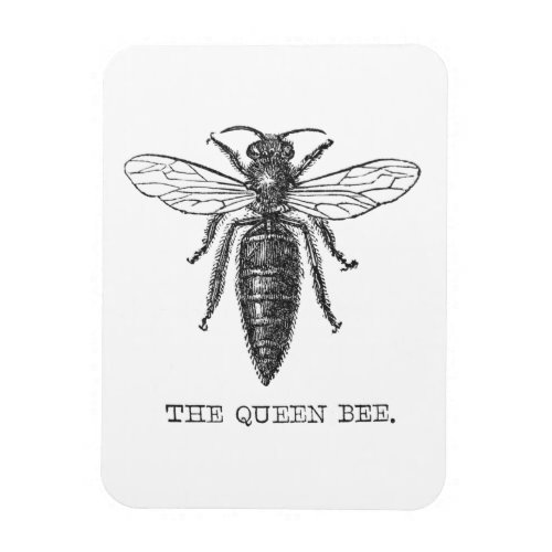 Queen Bee Bug Insect Bees Illustration Magnet