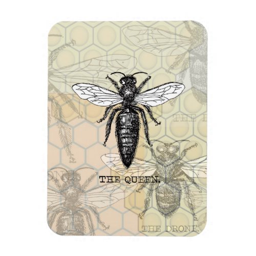 Queen Bee Bug Insect Bees Illustration Magnet