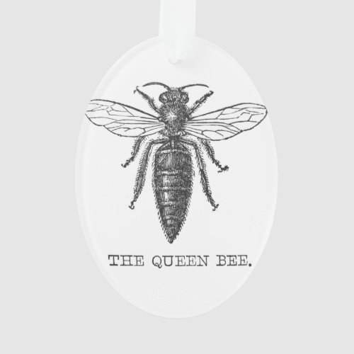 Queen Bee Bug Insect Bees Illustration Ornament