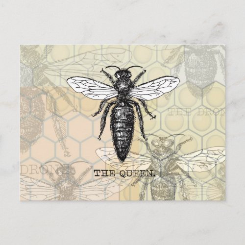 Queen Bee Bug Insect Bees Illustration Postcard