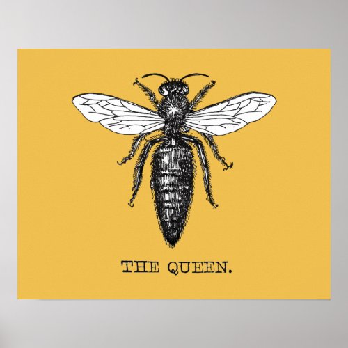 Queen Bee Bug Insect Bees Illustration Poster