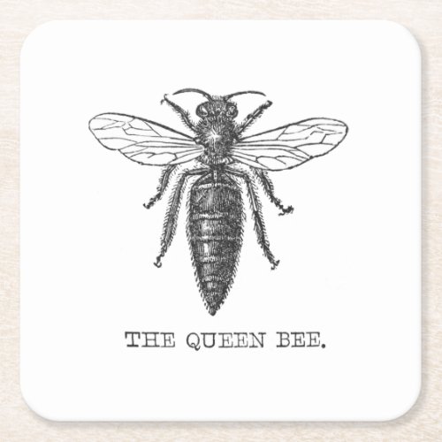 Queen Bee Bug Insect Bees Illustration Square Paper Coaster