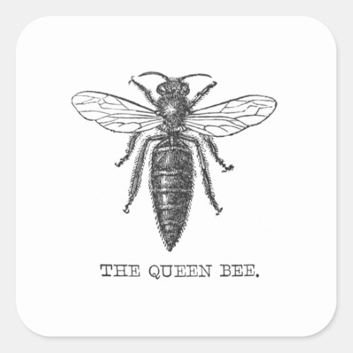 Queen Bee Bug Insect Bees Illustration Square Sticker