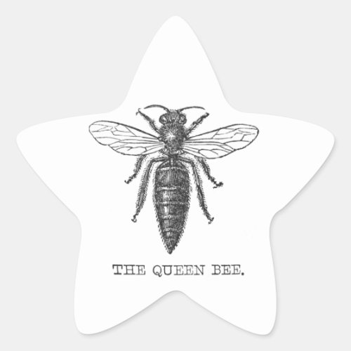 Queen Bee Bug Insect Bees Illustration Star Sticker