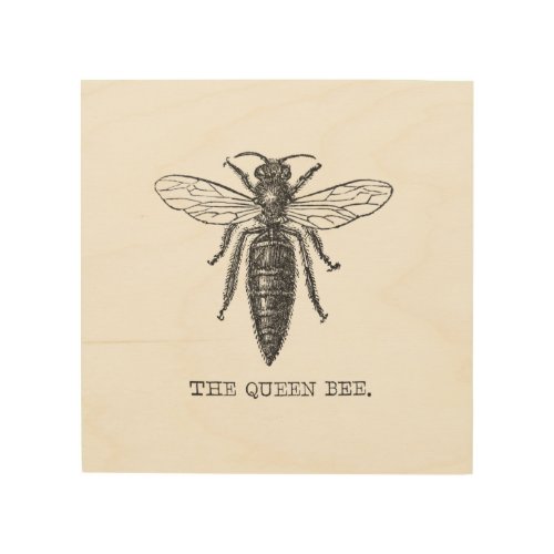 Queen Bee Bug Insect Bees Illustration Wood Wall Decor