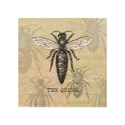 Queen Bee Bug Insect Bees Illustration Wood Wall Decor