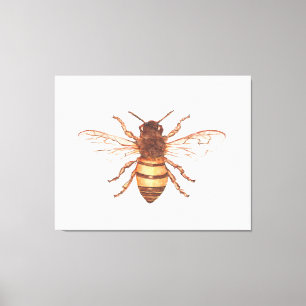 Queen Bee Canvas Print
