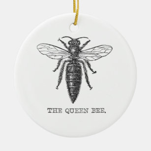 https://rlv.zcache.com/queen_bee_illustration_bug_insect_ceramic_ornament-rc6895743df3b4ddfbcce5b19c25f2ba3_x7s2y_8byvr_307.jpg