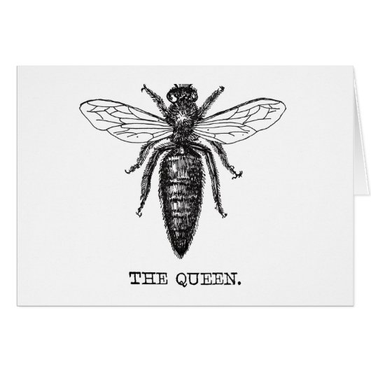 Queen Bee Illustration Classic Drawing (Front Horizontal)