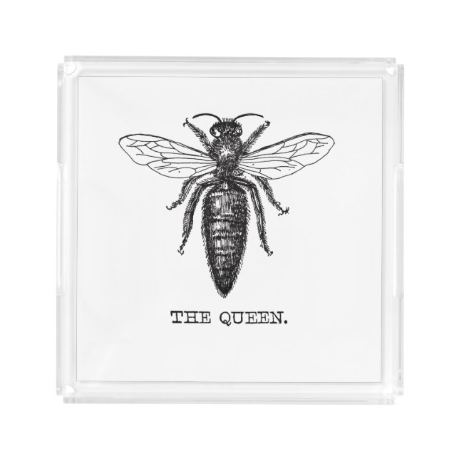 Queen Bee Illustration Classic Drawing Acrylic Tray (Front)