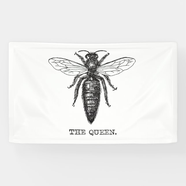 Queen Bee Illustration Classic Drawing Banner (Horizontal)