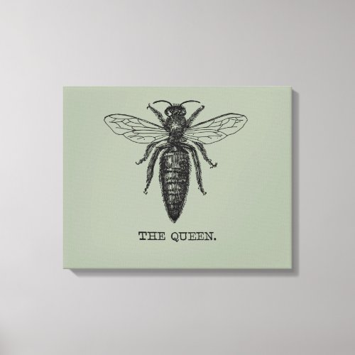 Queen Bee Illustration Classic Drawing Canvas Print