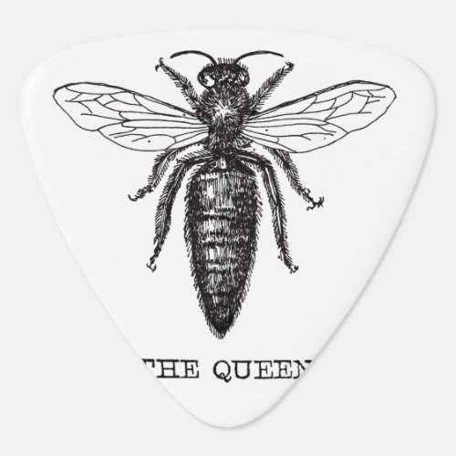 Queen Bee Illustration Classic Drawing Guitar Pick