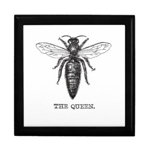 Queen Bee Illustration Classic Drawing Jewelry Box