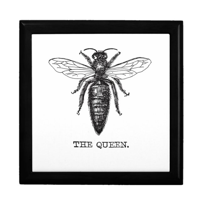 Queen Bee Illustration Classic Drawing Jewelry Box (Front)