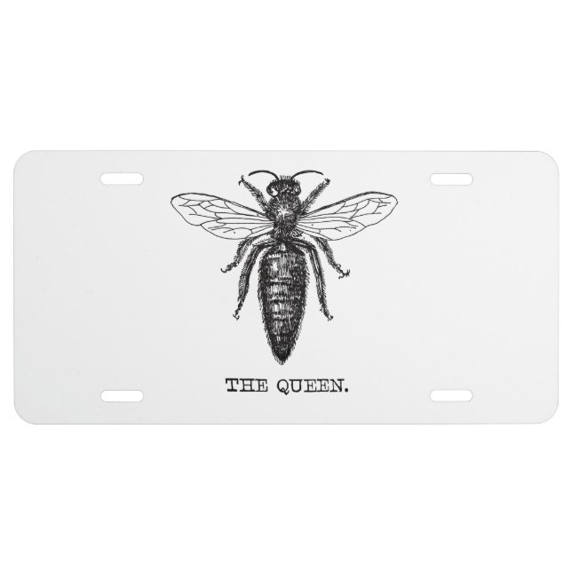 Queen Bee Illustration Classic Drawing License Plate (Front)