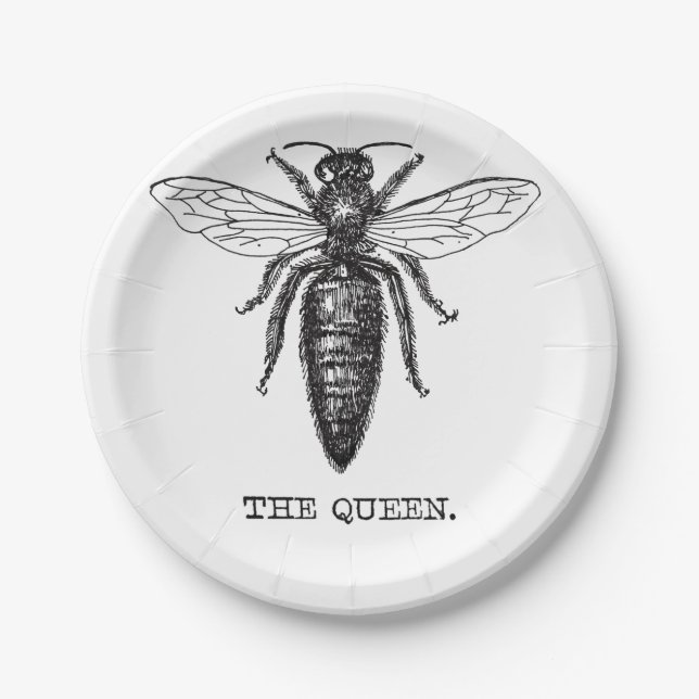 Queen Bee Illustration Classic Drawing Paper Plates (Front)