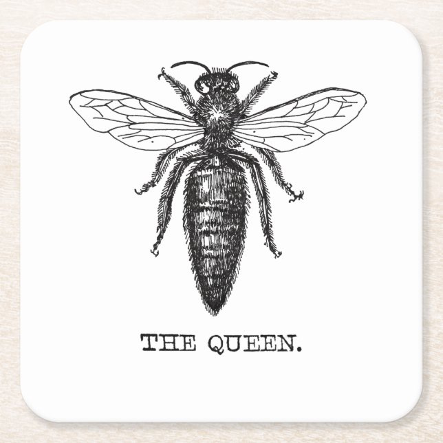 Queen Bee Illustration Classic Drawing Square Paper Coaster (Front)