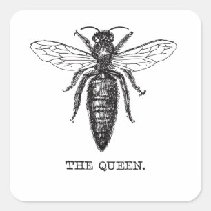 Queen Bee Illustration Classic Drawing Square Sticker