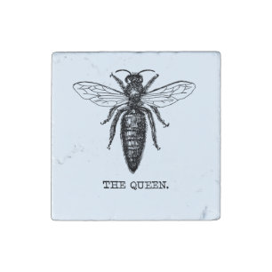 Queen Bee Illustration Classic Drawing Stone Magnet