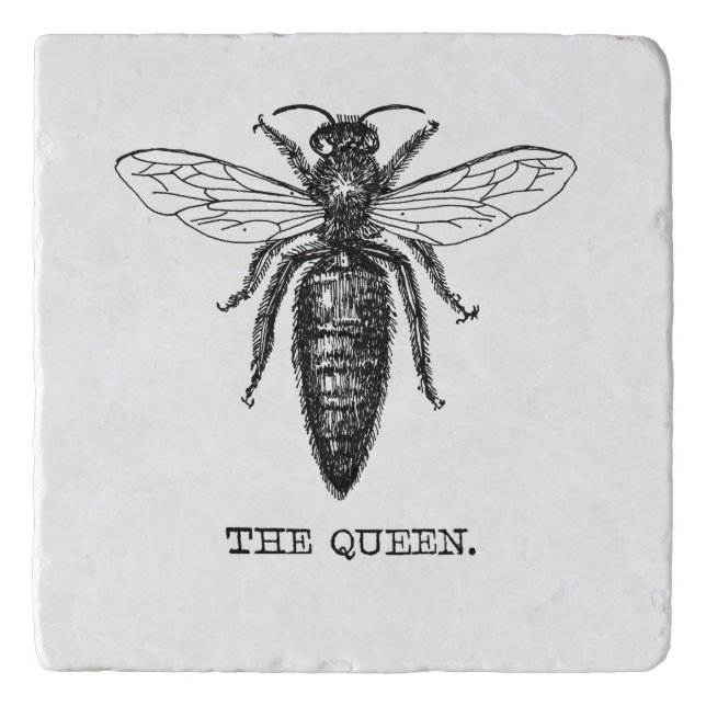 Queen Bee Illustration Classic Drawing Trivet (Front)