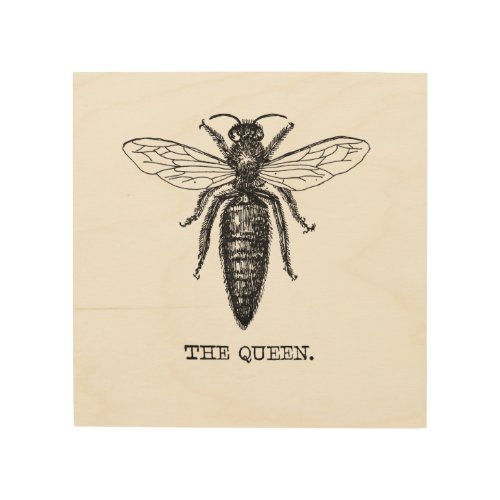 Queen Bee Illustration Classic Drawing Wood Wall Decor