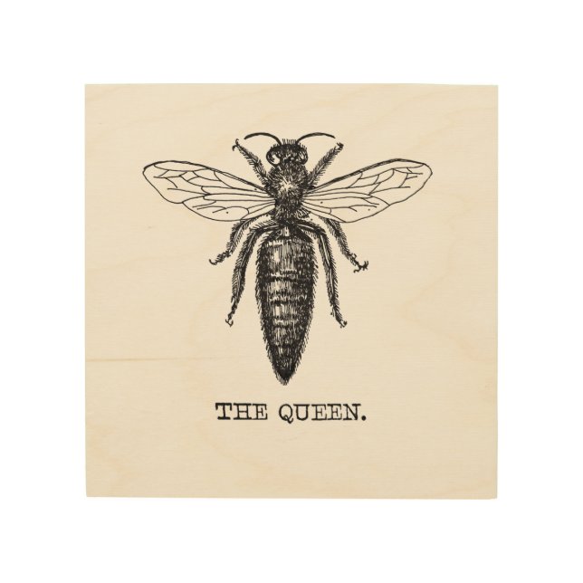 Queen Bee Illustration Classic Drawing Wood Wall Decor (Front)