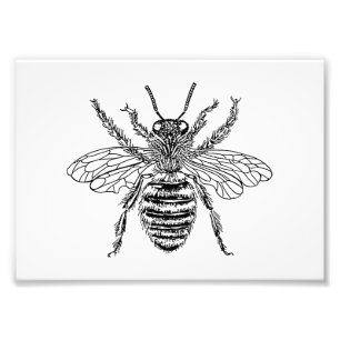 Queen Bee Photo Print
