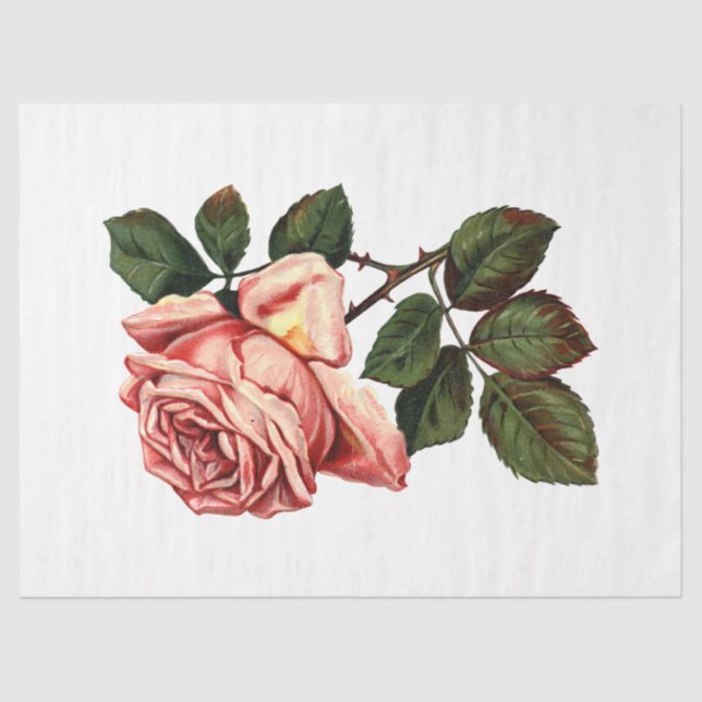 Queen Bee Series Design 63 Tissue Paper (Front)