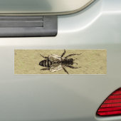 Queen Bee Wildlife Bug Insect Bumper Sticker (On Car)